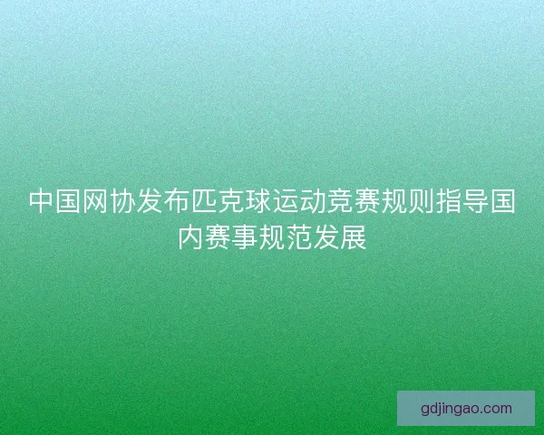 中国网协发布匹克球运动竞赛规则指导国内赛事规范发展